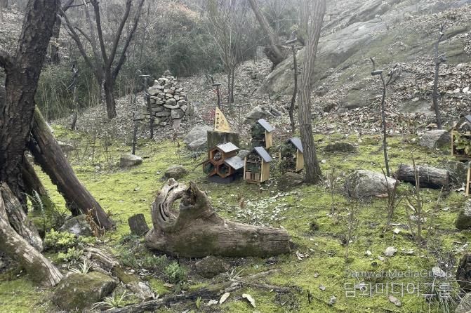 서대문구 안산(鞍山) 쉬나무 쉼터 일대 ‘이끼숲’에 조성된 일명 ‘곤충마을’