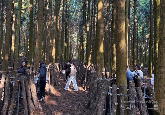 ‘버섯따기 체험 및 버섯장아찌 만들기’ 프로그램