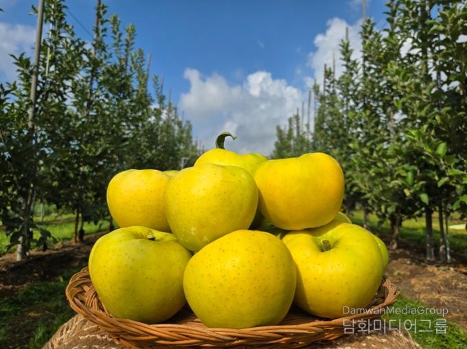 군위군, 농림축산식품부 스마트과수원특화단지조성 공모사업 최종 선정