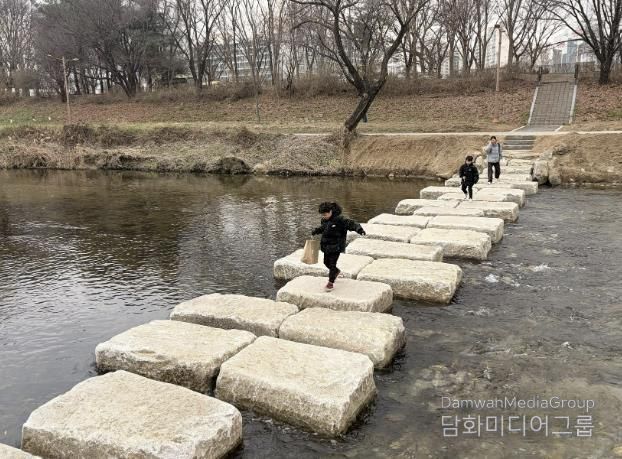 성남시 분당구 구미동 성남물빛공원~무지개마을 잇는 탄천 징검다리