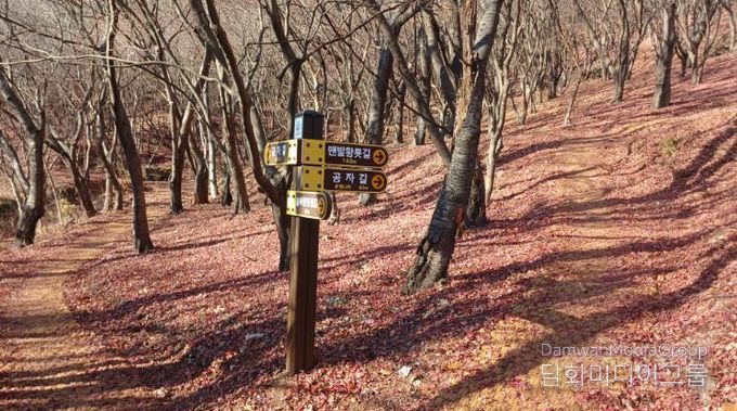 사천시, 향교숲길 조성완료… 시민 휴식․체험공간 확충