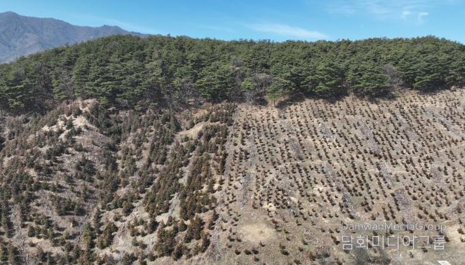 산청군, 경남도 산림자원분야 평가 장려상..조림·숲가꾸기 효율 관리
