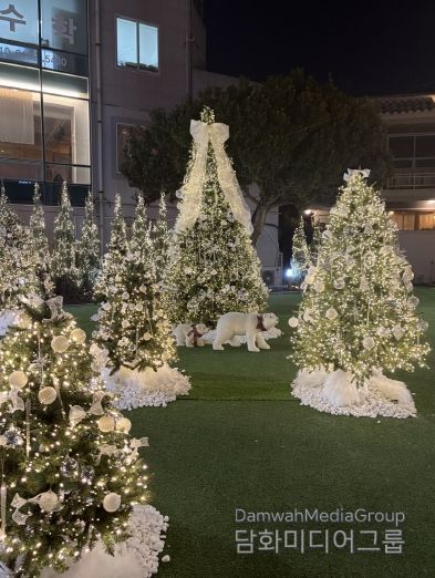 여행자의집, 크리스마스트리 점등