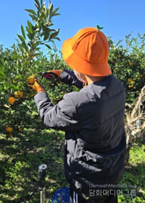 마음치유 프로그램