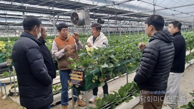 광주시, 딸기연구회 농가 대상 맞춤형 현장 자문 실시