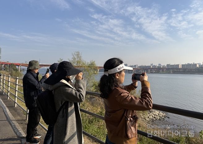 겨울새 탐조(서울숲공원)