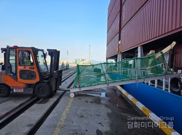 인천신항 선광신컨테이너터미널에서 힌지식 포크슬롯을 활용해 개발한 승하선 이동용 사다리를 설치하고 있다 / 사진제공 = 인천항만공사
