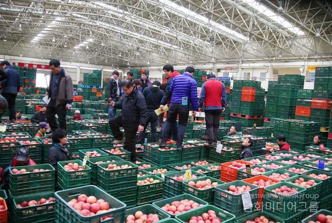 안동시농수산물도매시장 신정 정기휴장 실시