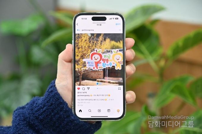 2026 청송군 SNS 홍보단 ‘온통청송’ 본격 활동 돌입