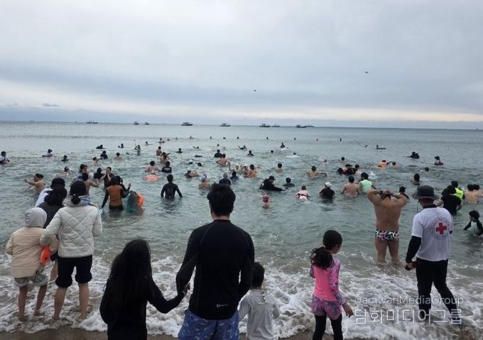 제27회 서귀포 겨울바다 국제펭귄수영대회