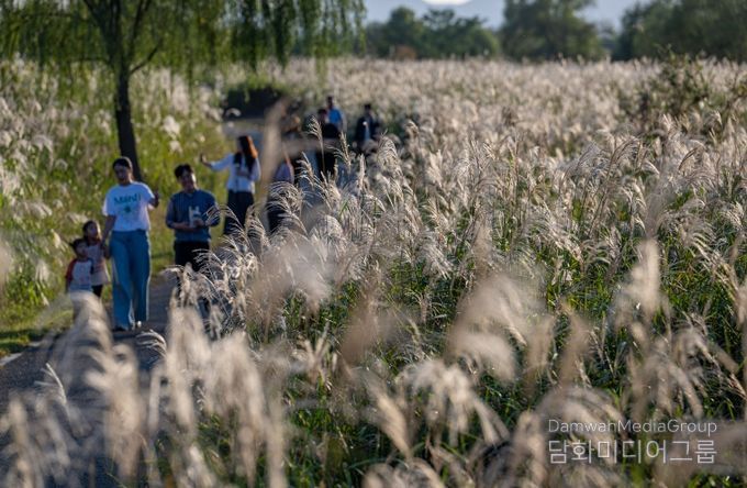 서창억새축제, 대한민국축제콘텐츠 4년 연속 대상