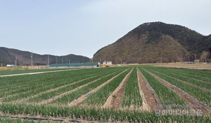 농업기술센터 시범사업
