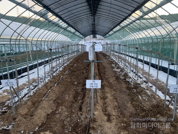 고품질 구기자 생산 ‘겨울철 시설관리 중요’