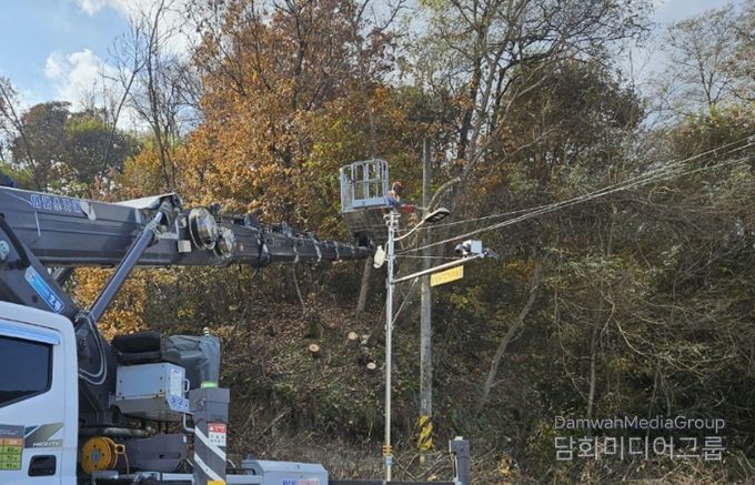 양구군, 자연재해 및 주택피해우려목 제거사업 추진