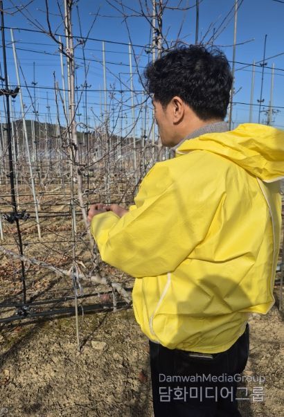 꽃눈 분화율 확인