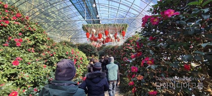 섬 겨울꽃 축제