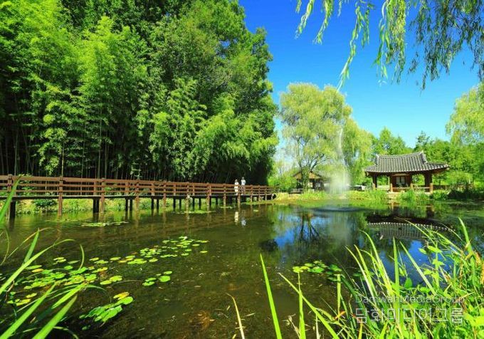 전남 관광지 사진(담양 죽녹원)