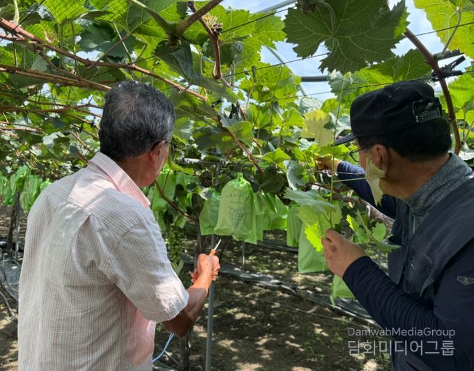 2025년 신규농업인 현장실습 교육