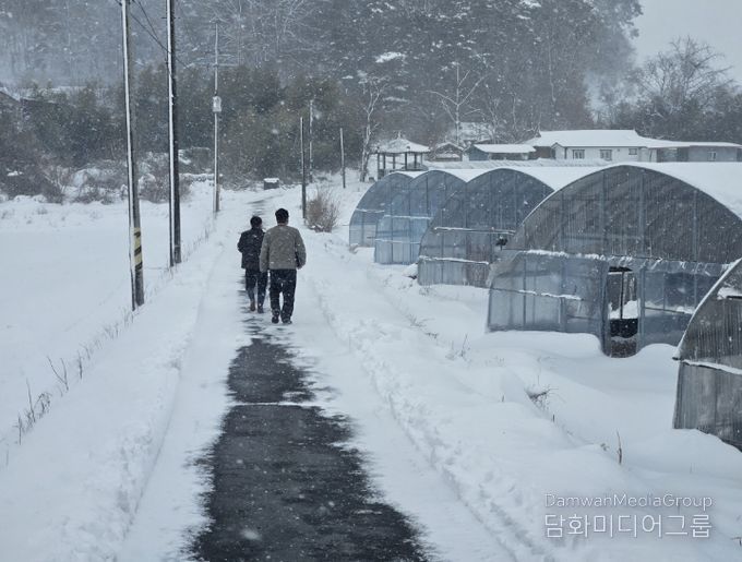 청양군농업기술센터 시설하우스 피복·골조 상태와 적설 대응 여건을 확인하는 현장점검 모습