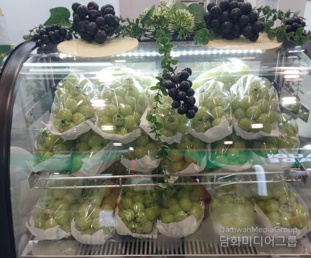 영주산 샤인머스캣 전시모습.