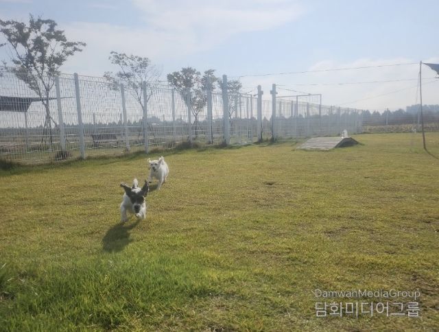 부안군, 2026년 반려동물 놀이터 조기 개장
