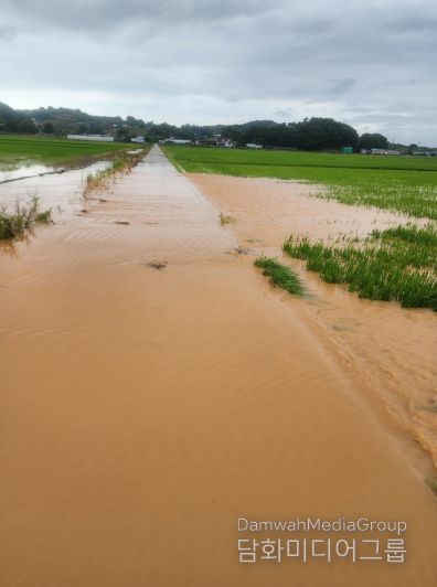 작년 7월 누동지구, 죽림지구 침수 피해 현장 모습.