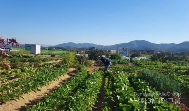 군위군, 텃밭에서 배우는 농업… 주말농장·주말농부학교 함께 연다.