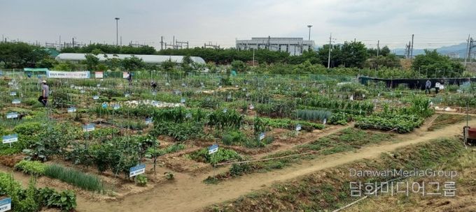 수성구 공영도시농업농장 전경