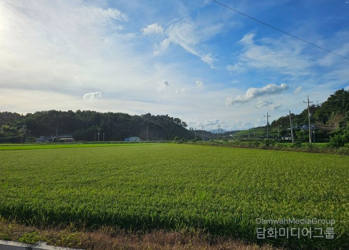 사천시, 벼 육묘상자처리제 지원으로 초기 벼 병해충 예방 강화