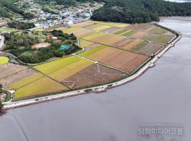 회진면 장산방조제 사진