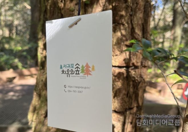 서귀포치유의숲
