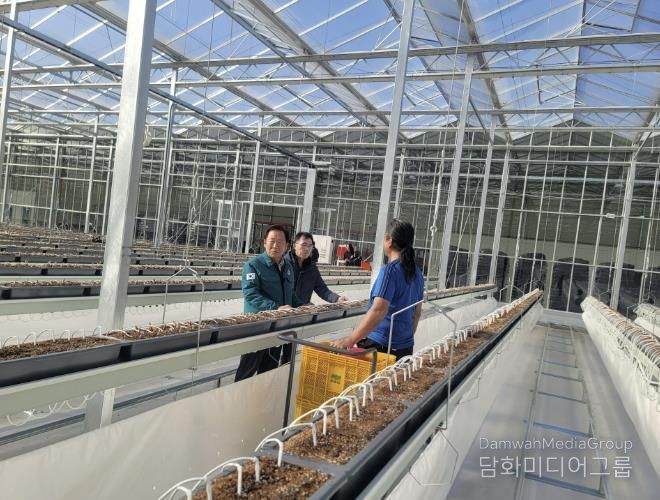 봉화군, 임대형 스마트팜단지 A동 2구역 쪽파 파종 들어가