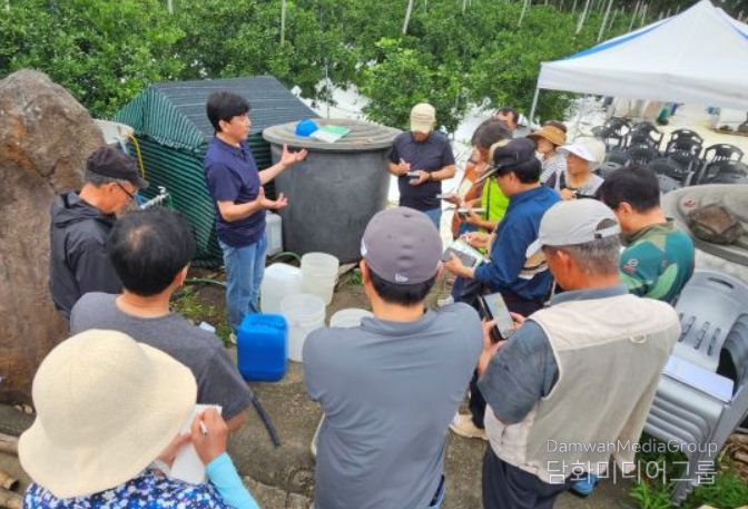 감귤 명인 강의(일반조생 성목이식)
