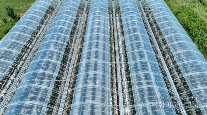 기후변화 대응 스마트사과재배로 사과 재배