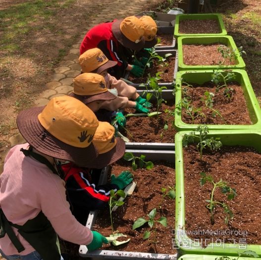 2026년 상자텃밭 보급 사업 참여 기관 모집