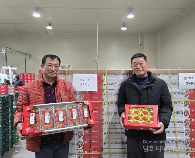 상주시, 설 명절에도 수출용 딸기 농가의 불은 Very-Berry Bright!