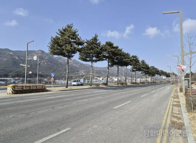 홍성군 내포신도시 관문 '도청대로' 장송 전정