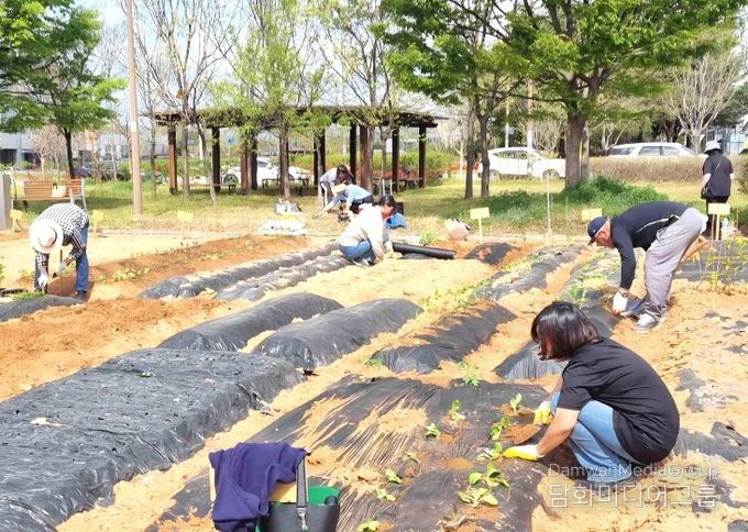 나주시는 도시민의 건전한 여가 활동과 친환경 농업 체험 기회 제공을 위해 시민을 대상으로 오는 3월 10일까지 공영 텃밭 분양을 실시한다
