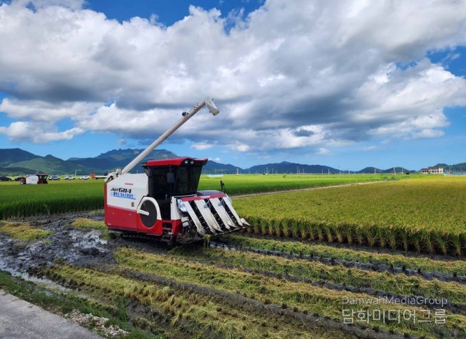 벼 수확