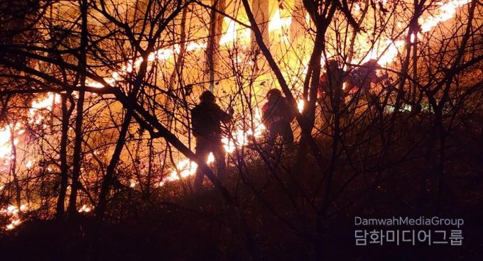 대강면 장림리 산10-1번지 산불 진화 현장