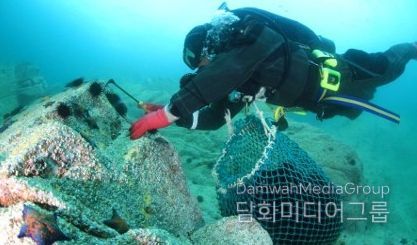 , 임원해역 생태환경 복원‘바다숲 조성사업’추