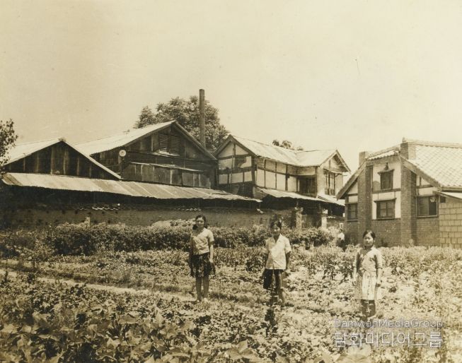 1960년대 남평주조장 모습.