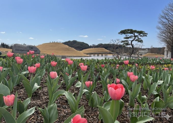 ‘첫 튤립 꽃잔치’로 가장 먼저 봄을 열다