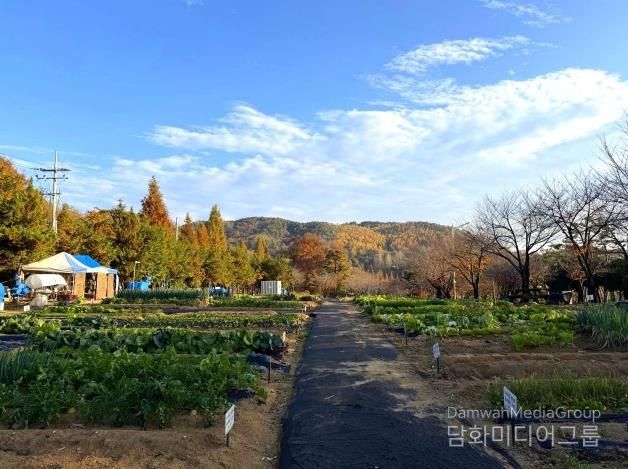 안성시, 2026년 도시농업공동체 공공텃밭 분양자 모집