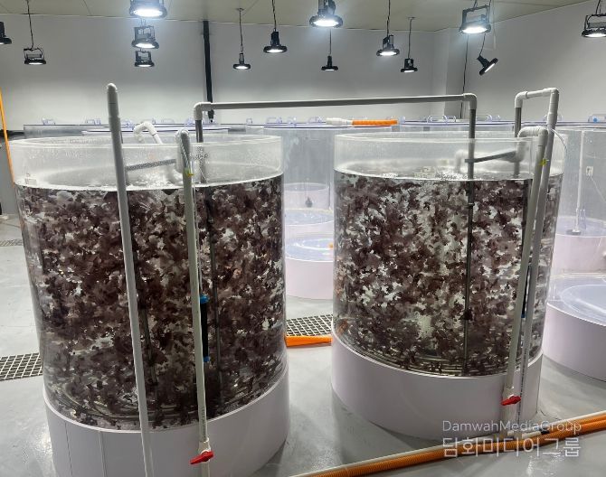 김 육상양식 기술 특허 2건 등록