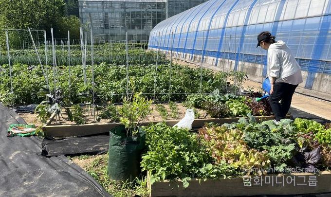 괴산군, 귀농·귀촌인 위한 ‘주말영농 체험농장’ 이용자 모집