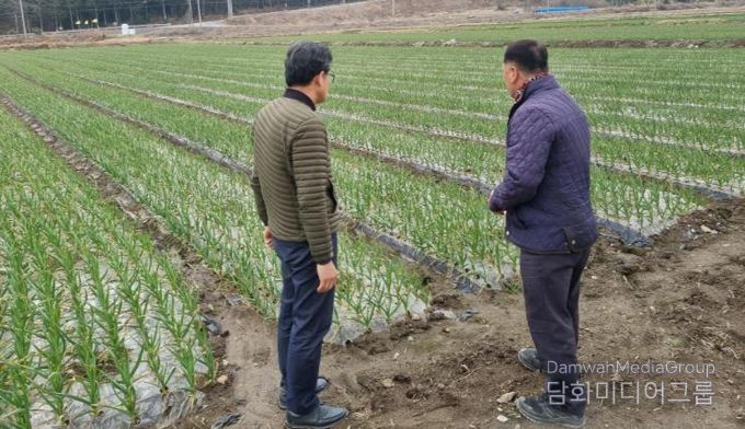 강진군 관계자가 강진관내 마늘농장을 방문했다.