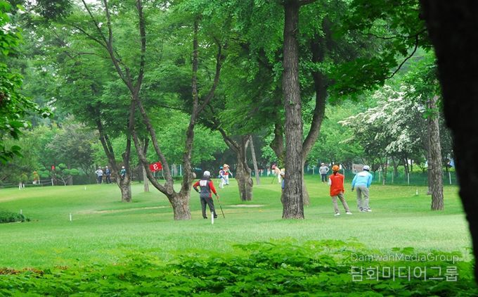 잠실파크골프장 이용객 경기 장면