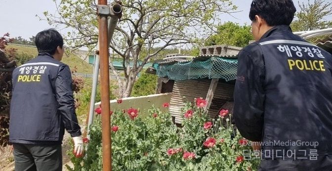 사천해경, 해양 마약류 범죄 집중단속