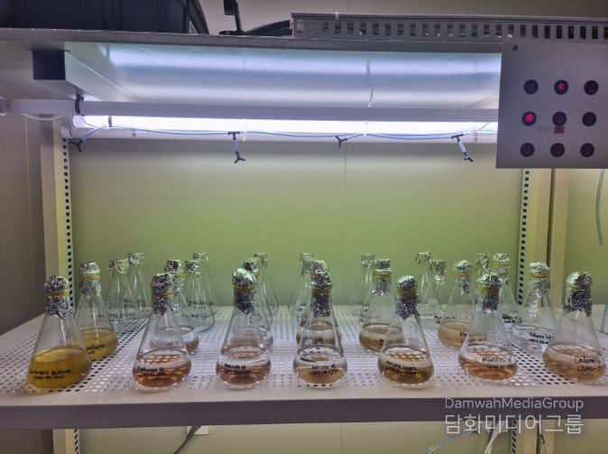 전복 종자 살리는 '첫 밥상' 규조류 무상 공급